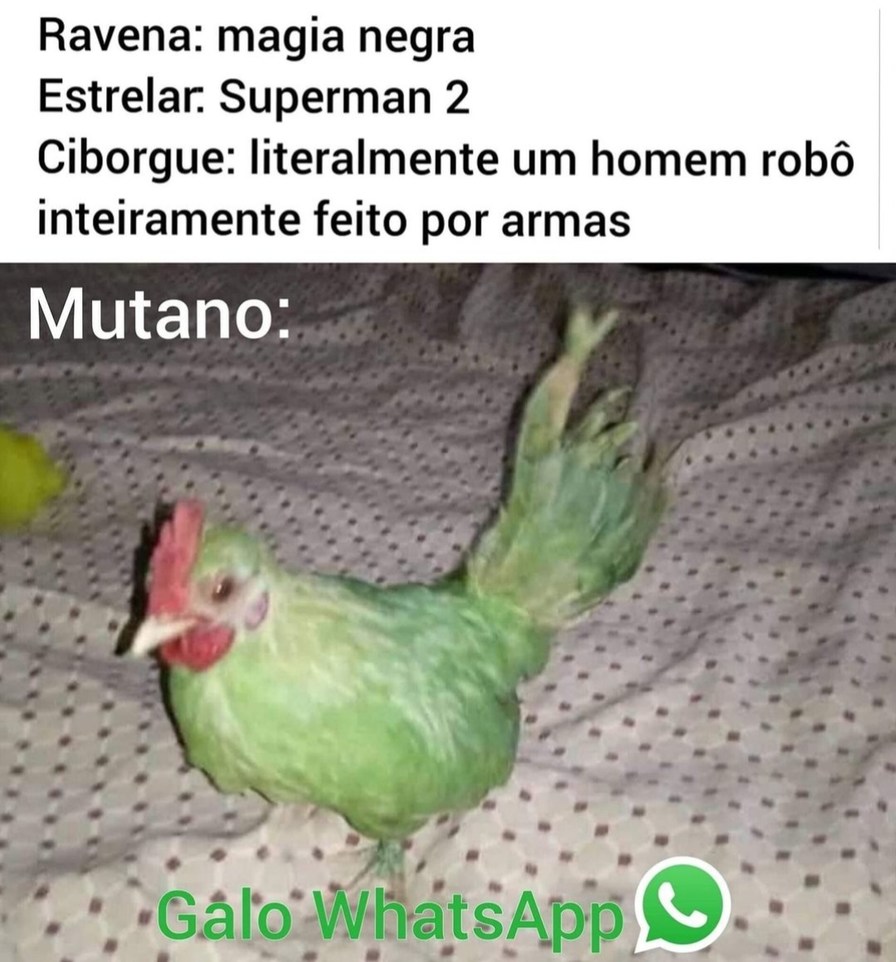 Galo ZipZopiano - meme