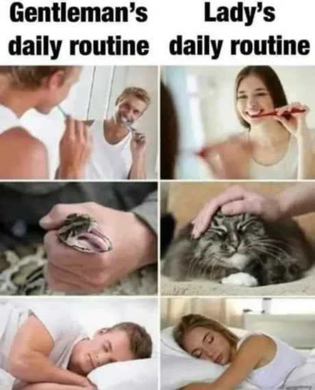 Daily - meme