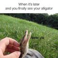 See ya later alligator