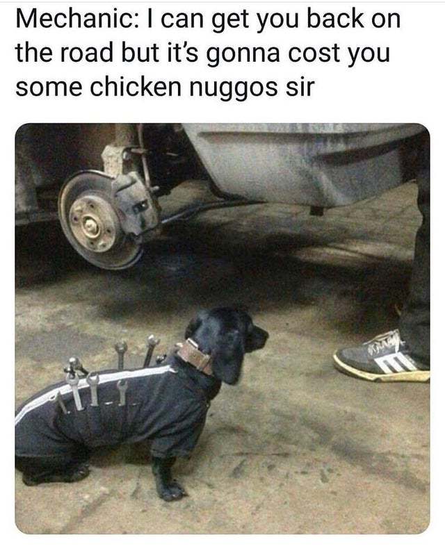 How many chicken nuggos? - meme