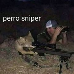perro sniper - meme