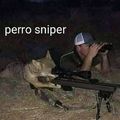 perro sniper