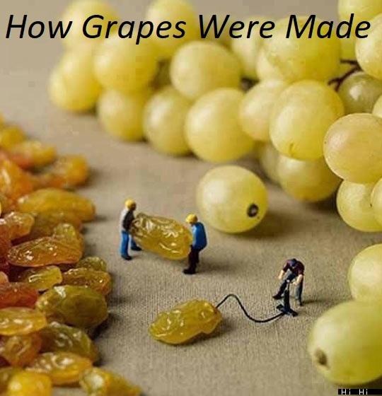Reconstructing grapes - meme