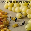 Reconstructing grapes
