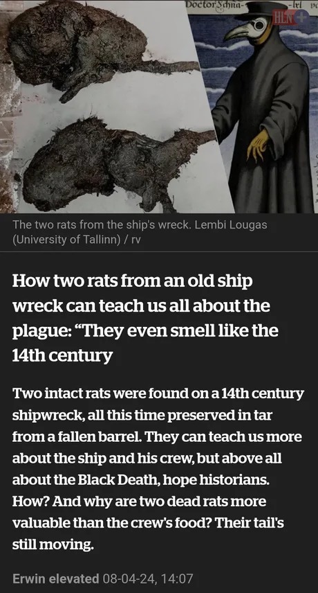 Rats from the Spanish plague - meme