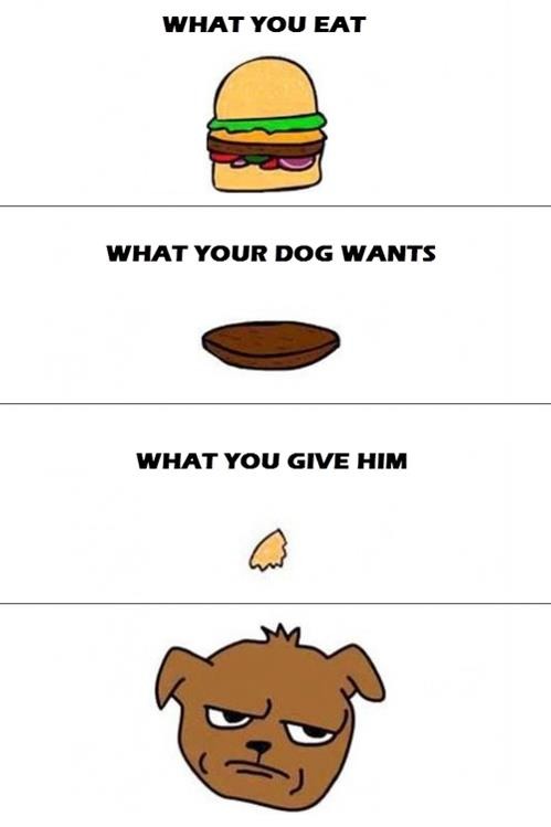 Woof? *tilts head* - meme