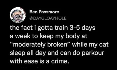 cats vs human workouts - meme