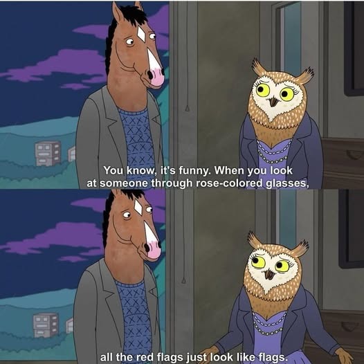 i didn't see her flaws - meme