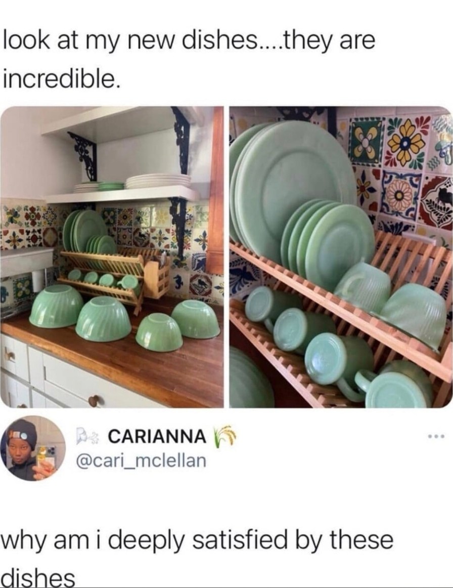 These dishes are weirdly satisfying and I have no explanation - meme
