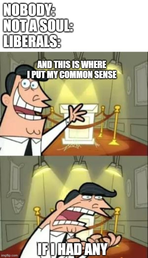 shitlibPost - meme