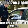 Silly cops