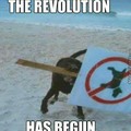 Doggo Revolution