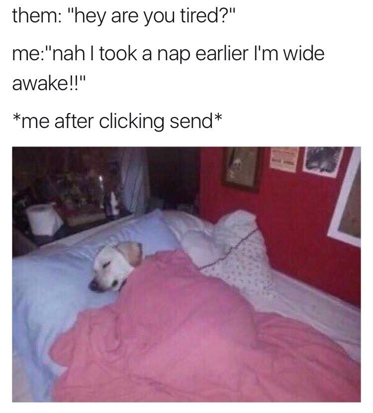 Just one more nap - meme