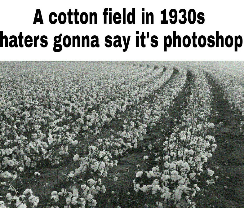 Go pick some cotton nibba - meme