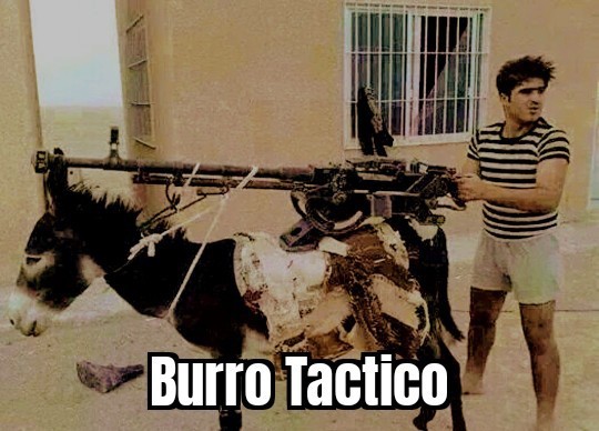 Burro Tactico - meme