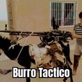 Burro Tactico