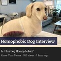 Dog homophobic