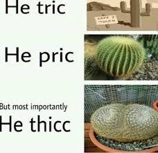 He tric he price he thicc - meme