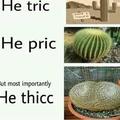 He tric he price he thicc