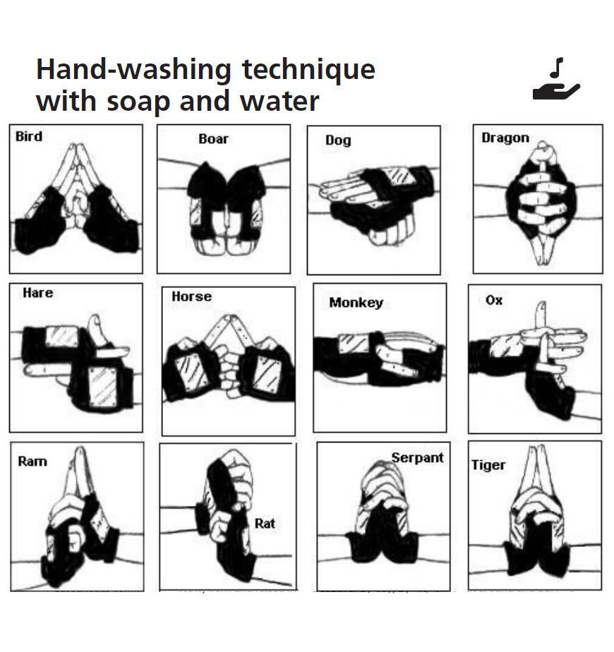 How to wash your hands - meme