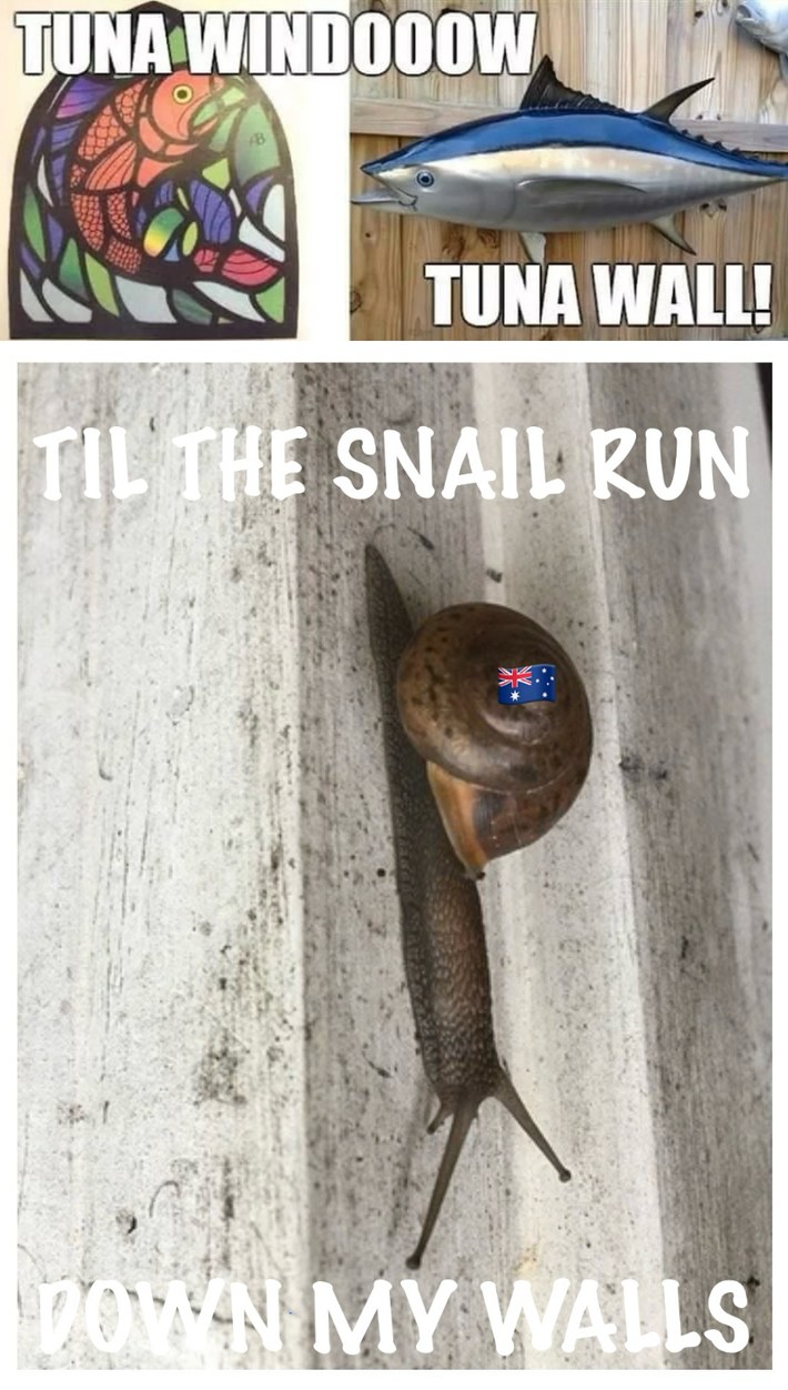 Snail - meme