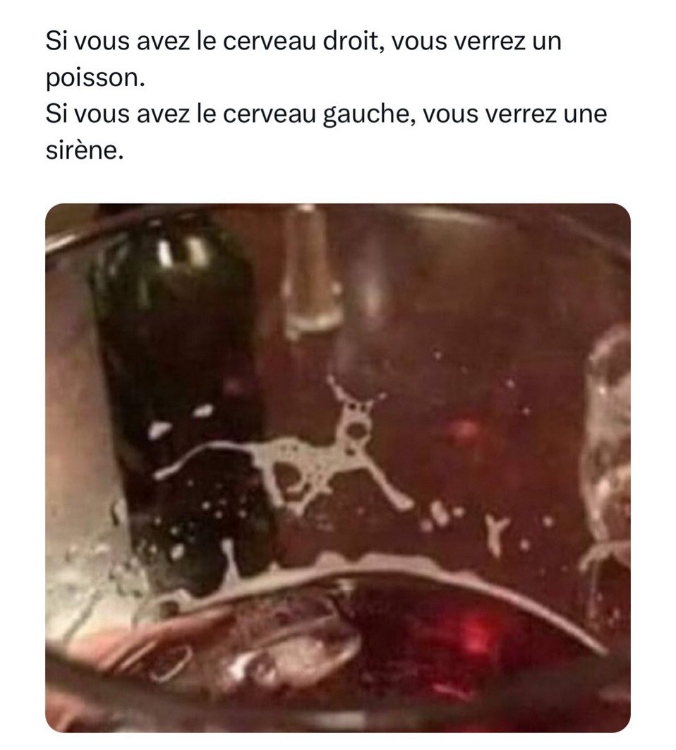 J'ai vu un chien - meme