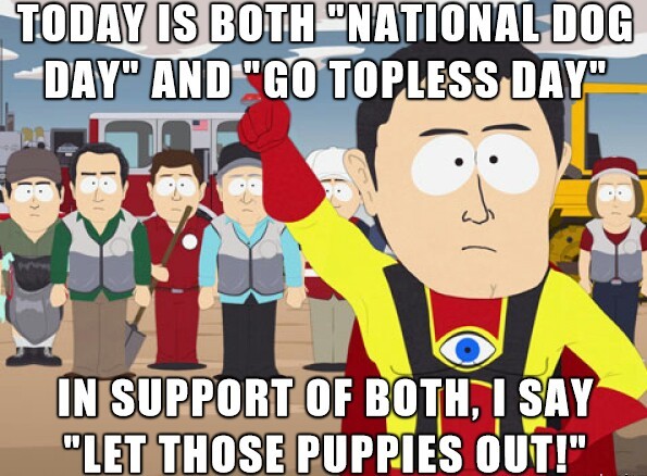 National doggo day! - meme