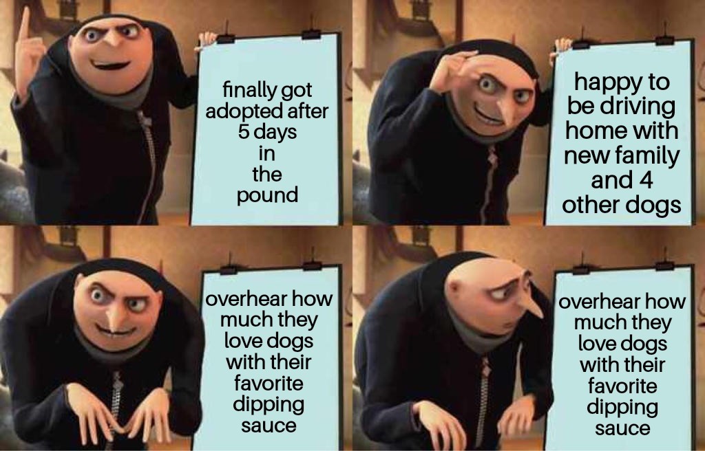 Poor doggo - meme