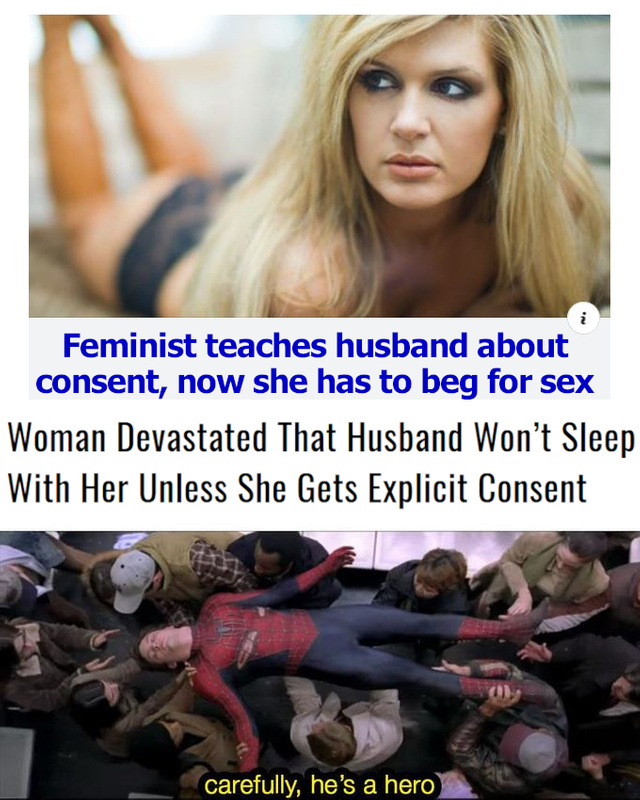 Feminist teaches husband about consent, now she has to beg for sex - meme