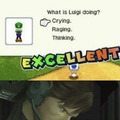 Poor Luigi ):