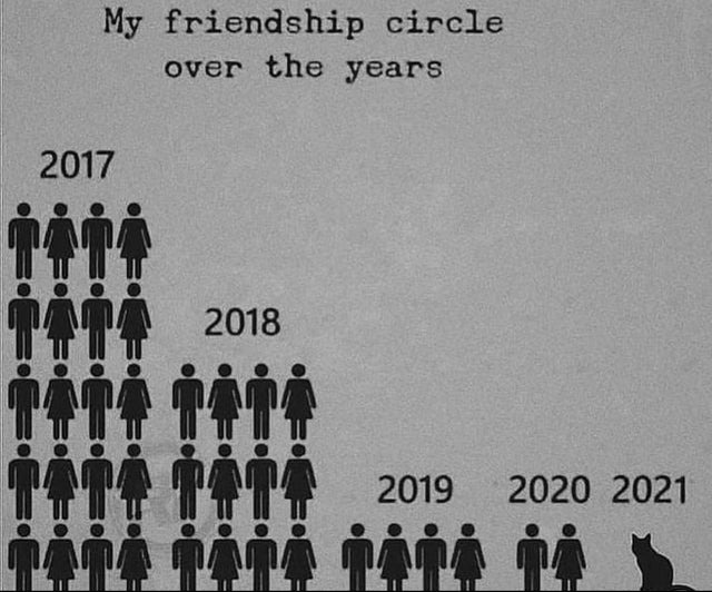 My friendship circle over the years - meme