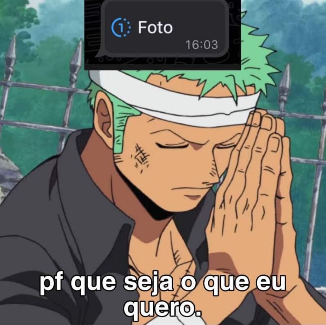 O ZORO SOLA KKKK MEMES DE ONE PIECE