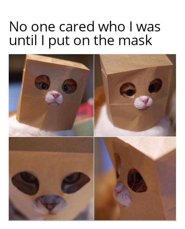 Feline kinda anonymous - meme