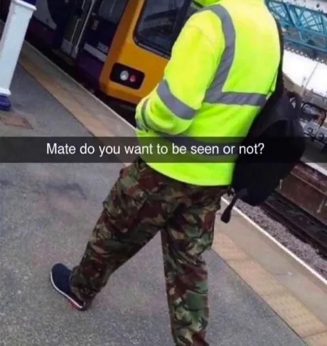 Wanna be seen or not - meme