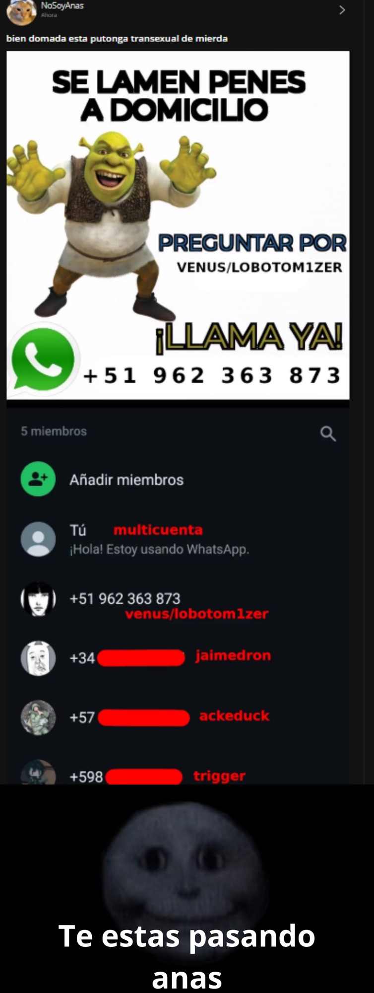 Anas, eso ya es un delito - meme