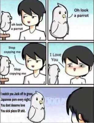 Crazy parrot - meme