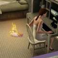 The sims