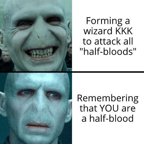 Voldemort is a half-blood - meme