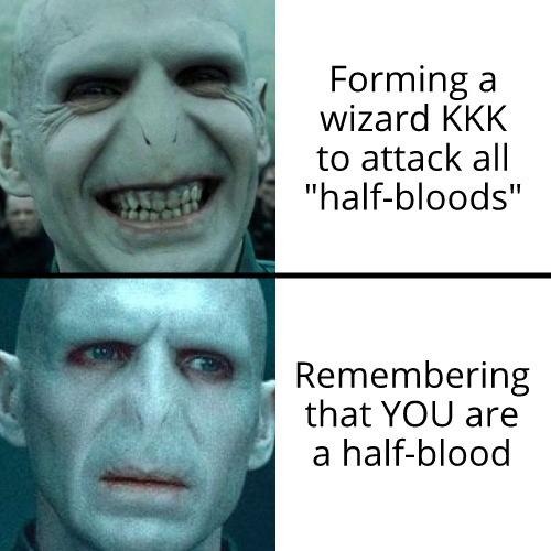 Voldemort be like - Harry Potter Memes