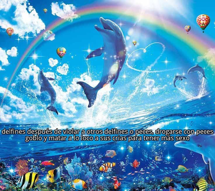 Los delfines son mierda - meme