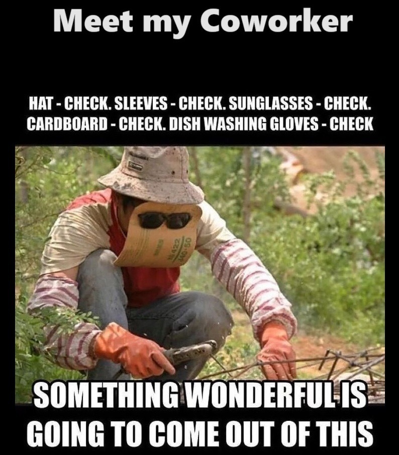 My Coworker - meme