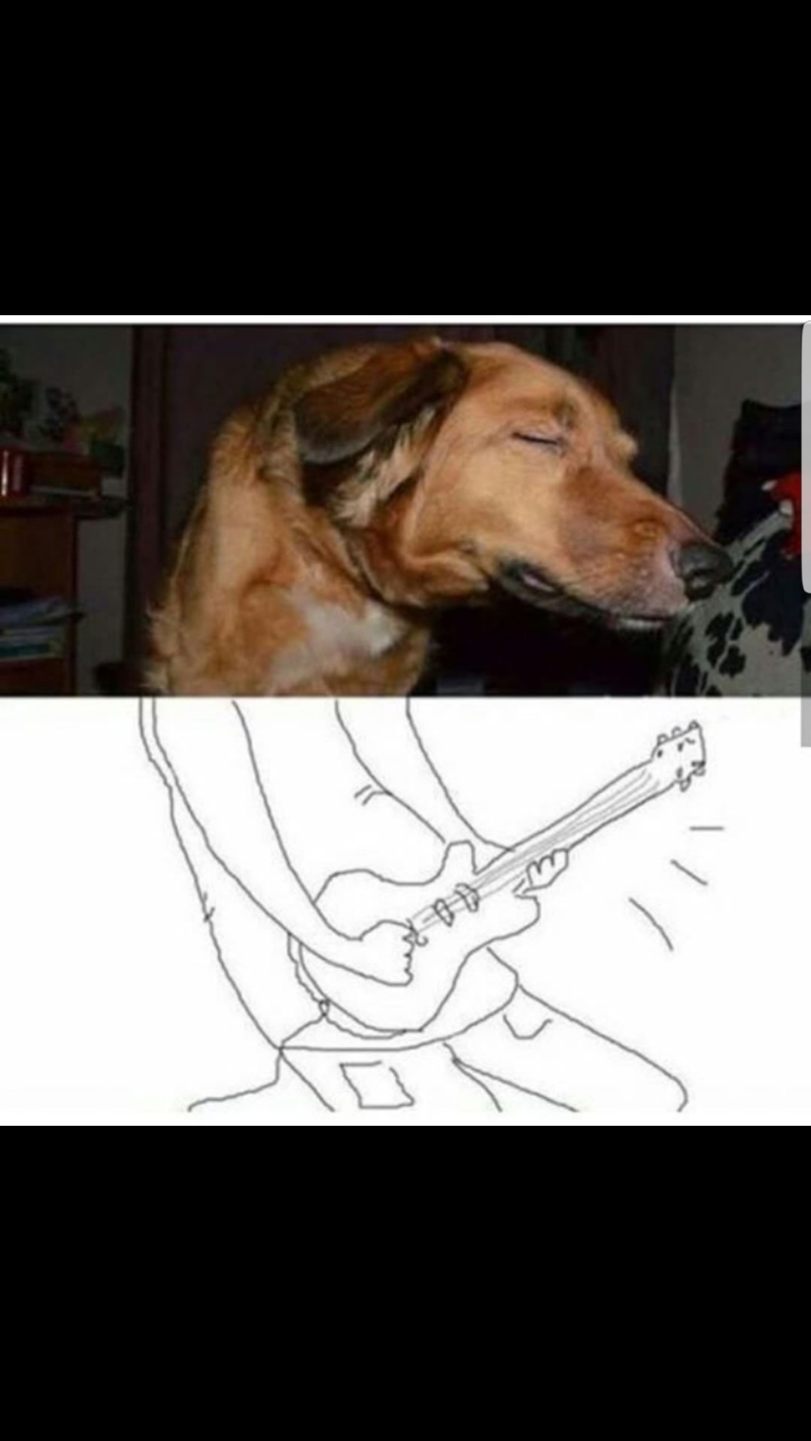 ROCK DOG - meme