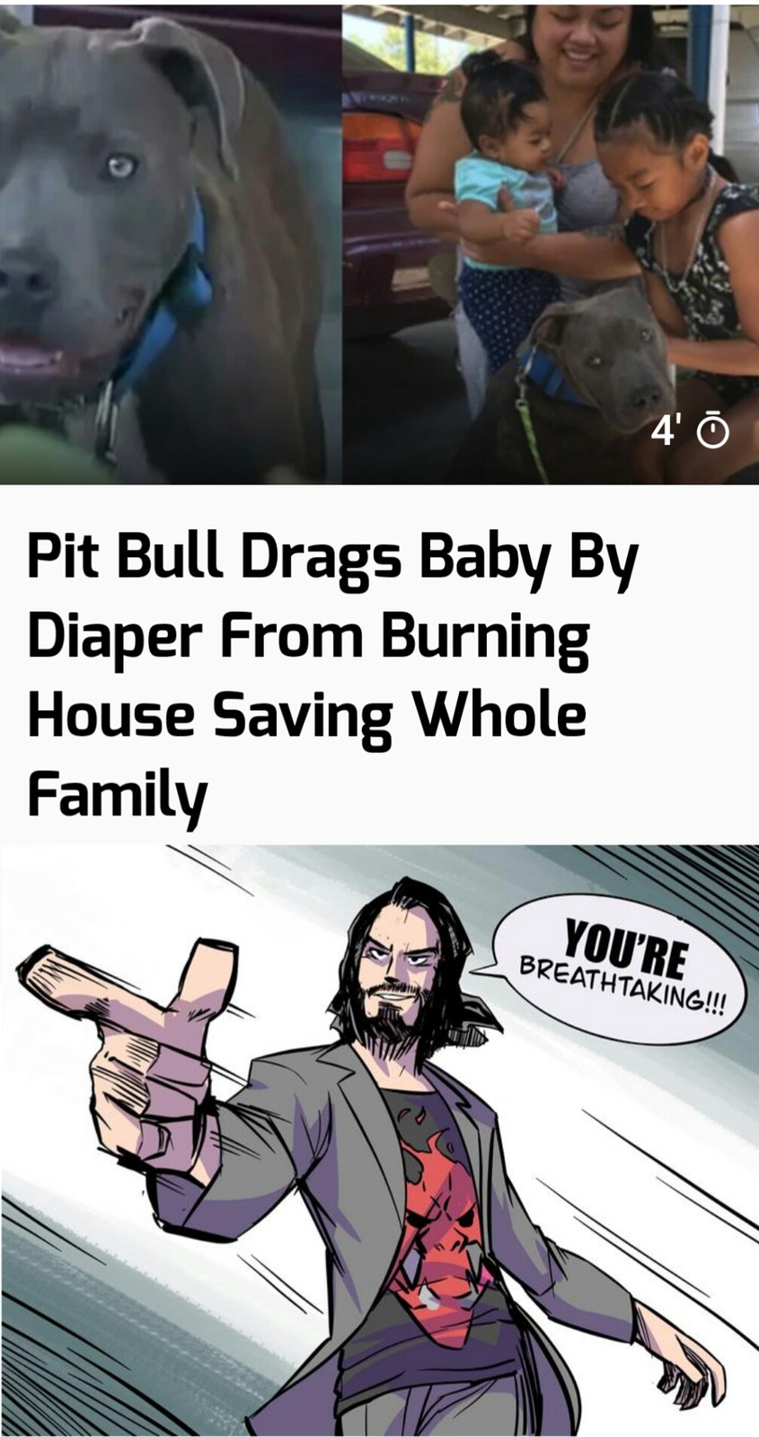 Pitbull arrasta bebê pela fralda de casa em chamas, salvando toda a família - meme