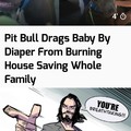 Pitbull arrasta bebê pela fralda de casa em chamas, salvando toda a família