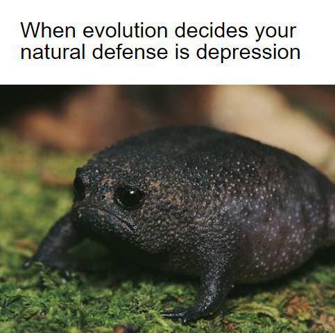 When evolution decides your natural defense is depression - meme