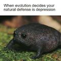 When evolution decides your natural defense is depression