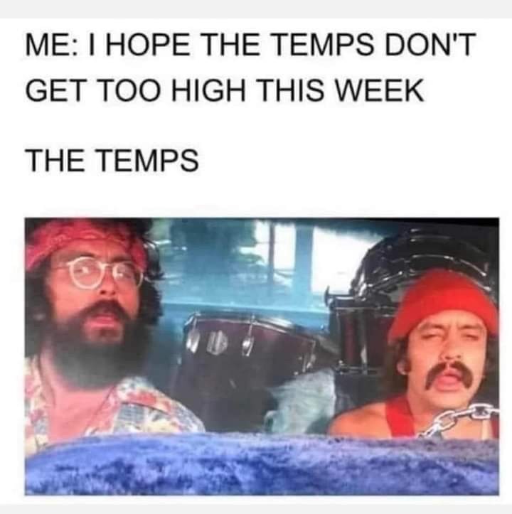 how high? - meme