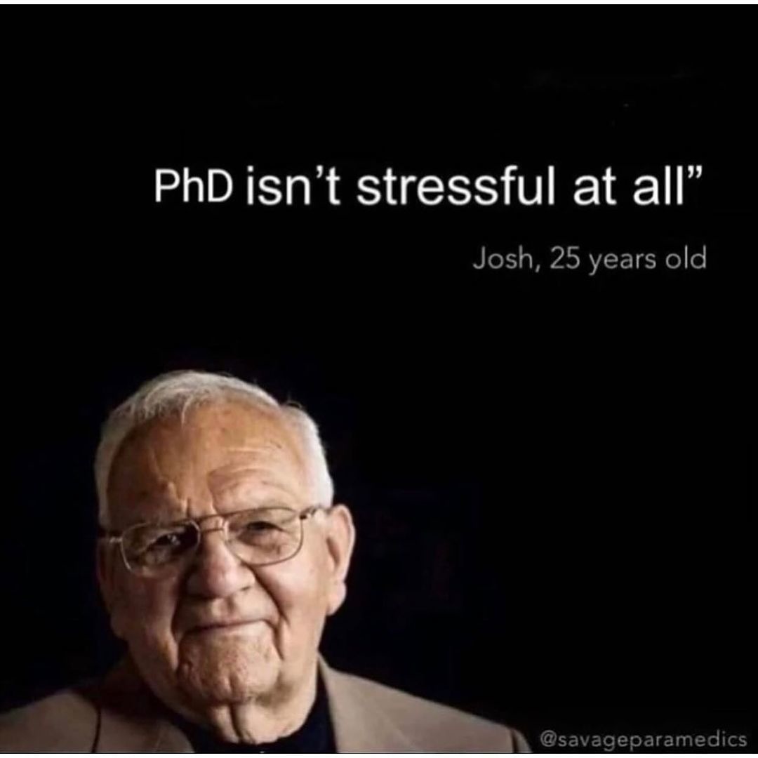 PhD isn't Stressful "et al." - meme
