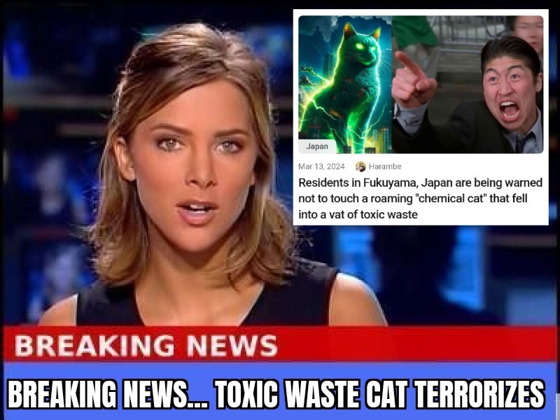 Who had Toxic Waste cats for March?? - meme