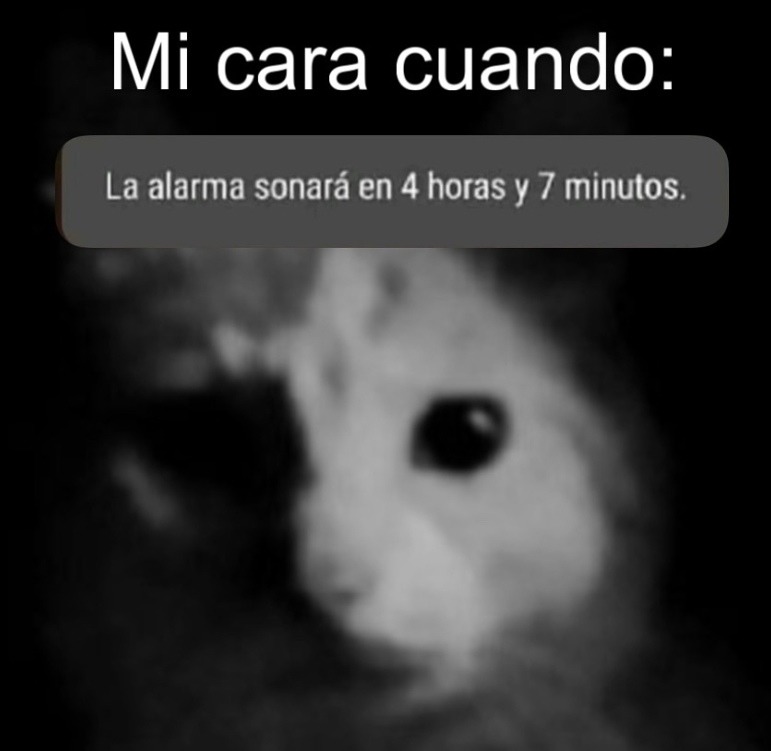 cuando la alarma dice que duermes 4 horas más - meme